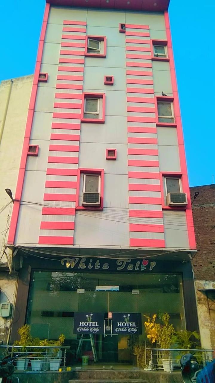 Hotel White Tulip 阿姆利则 外观 照片